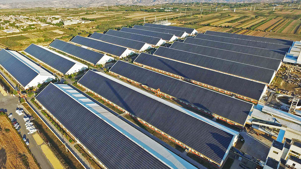 九州官网-不凡成就非凡,相信品牌力量